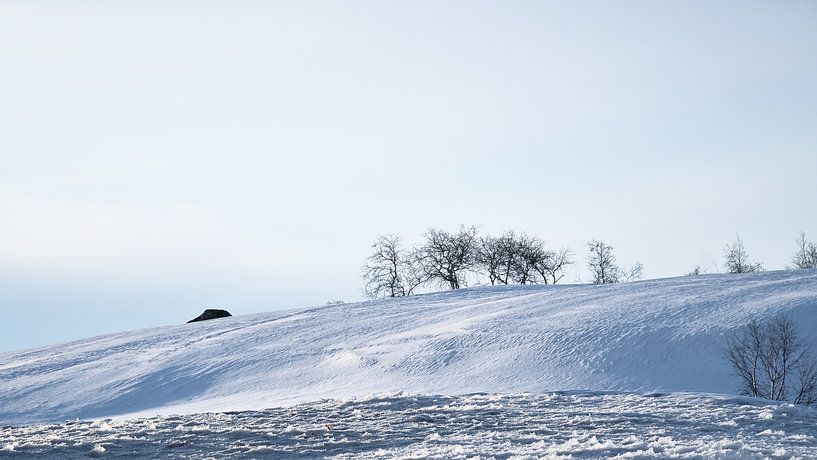 Norwegian high mountains, snow-covered mountains and landscape by Martin Köbsch