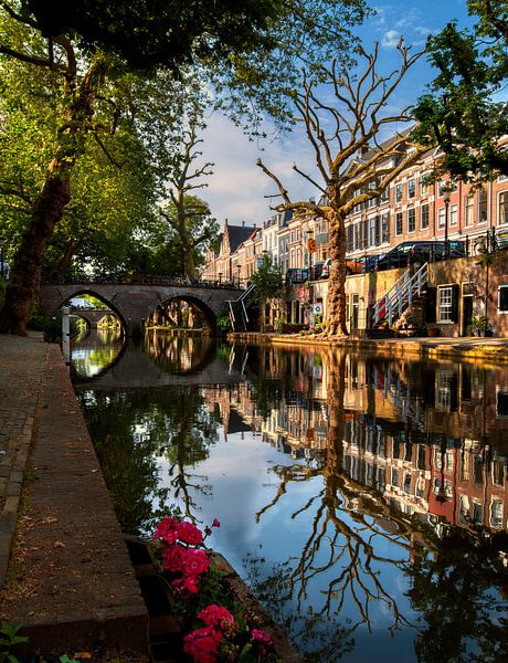Alter Kanal in der Morgensonne. von Verliefd op Utrecht