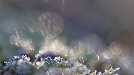 IJs en Zon by Dick Vermeij