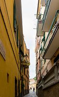 Townscape of Riomaggiore