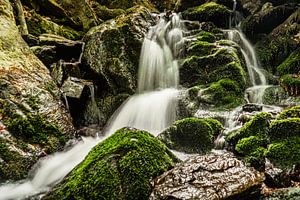 Natuur en landschap
