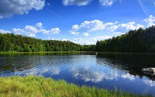 Small lake in the moorlands by Gisela Scheffbuch