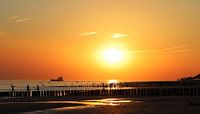 Summer by the sea II