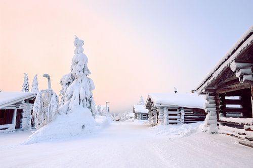 Zonsondergang Lapland