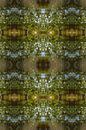 Sommerliche Reflexion, Wasser und Symmetrie 2 von Heidemuellerin Miniaturansicht
