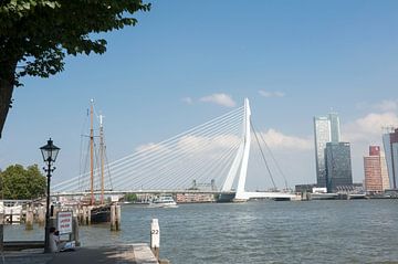 Erasmusbrug van Richard Wareham