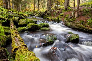 mountain stream