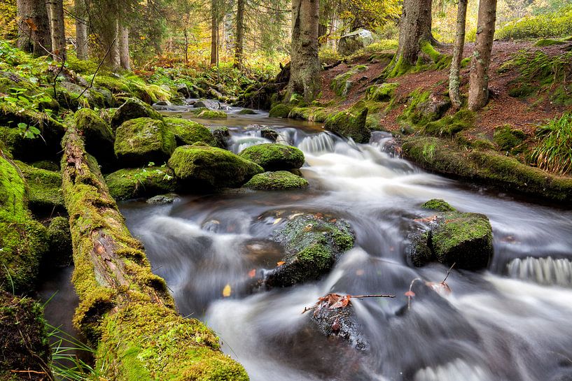 mountain stream by Cor de Bruijn Photography