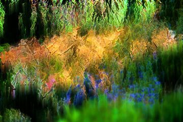 Les couleurs de la nature sur Daniel Dorst