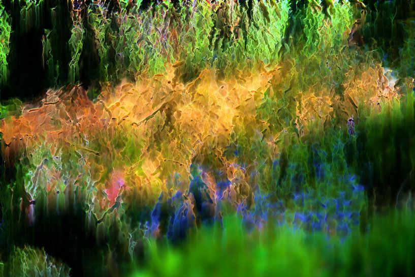 The colours of nature by Daniel Dorst