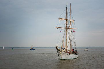 Etoile DelfSail 2024 van Jan Georg Meijer