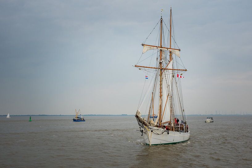 Etoile DelfSail 2024 von Jan Georg Meijer