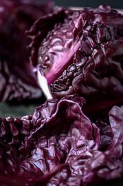 Chou rouge sur Laura van Driel