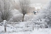 sneeuwlandschap