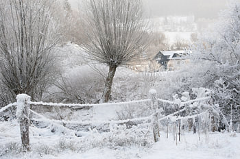 snowy landscape