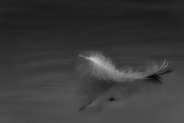 feather light