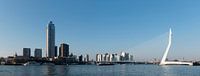 Panorama Rotterdam by Richard Wareham thumbnail