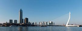 Panorama Rotterdam von Richard Wareham