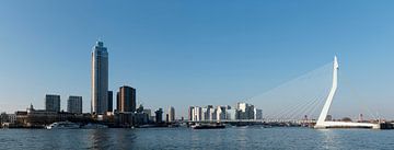 Panorama Rotterdam van Richard Wareham