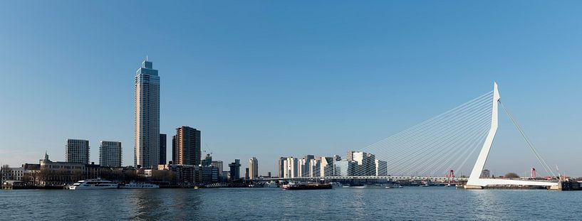 Panorama Rotterdam by Richard Wareham