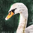 Swan portrait (looks to the left) by Art by Jeronimo thumbnail