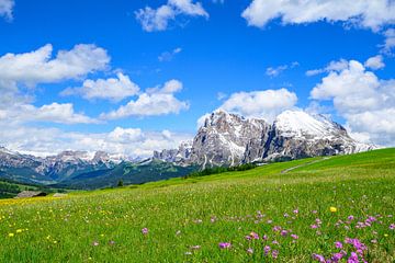 Seiser Alm of Alpe di Siusi in de Dolomieten in het voorjaar