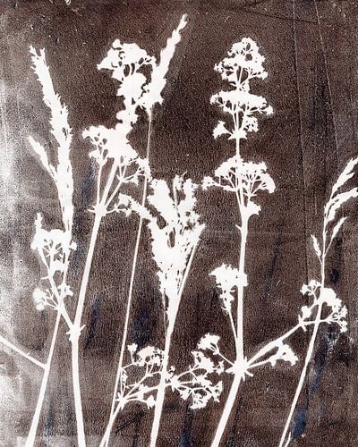 Sogni di fiori. Retro bloemen, planten en grassen in roestbruin en wit