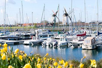 Inner harbour by Liefs van Peet