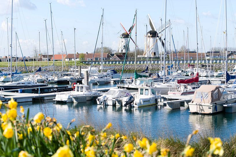 Inner harbour by Liefs van Peet