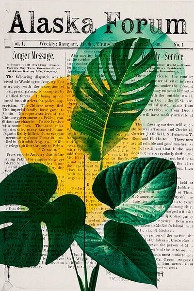 Plants and news collage by Poster Art Shop