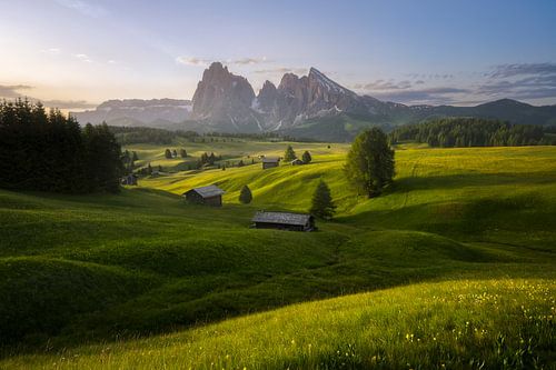 Seiser Alm / Alpe di Siusi