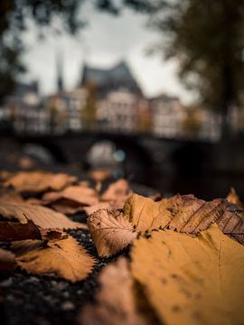 Leidsegracht in the herfst #2 van Roger Janssen