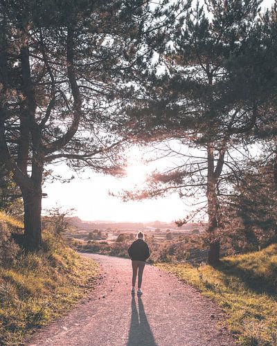 Zonsondergang boven de Kennemerduinen