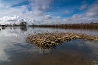 wachten tot het water zakt