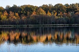 Spiegelnde Herbstfarben