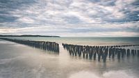 Long exposure van mosselpalen aan de Opaalkust in Frankrijk | Panorama
