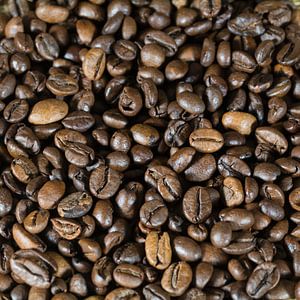 coffee beans by Klaartje Majoor