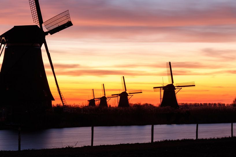 Kinderdijk von Rob Saly