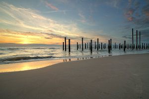 Palendorp Petten