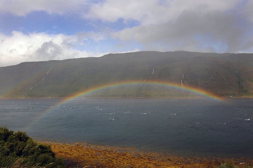 The rainbow bridge van Annick Cornu