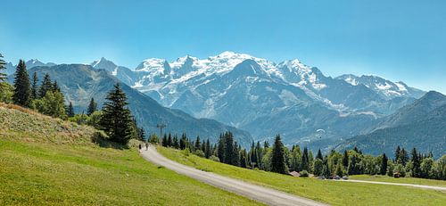 View of Mont Blanc from the Plateau de Passy, Marlioz-l'Abbaye, Haute-Savoie, France,