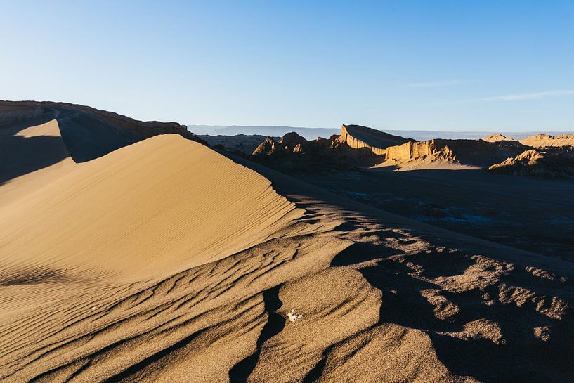 Sanddüne im Sonnenuntergang von Shanti Hesse