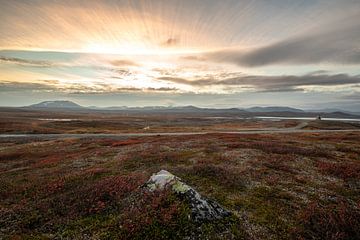 Norwegian Steppe on Femundsmarka National Park van Marc Hollenberg