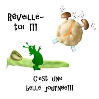 Reveille-toi!!! C'est une belle journée!!!