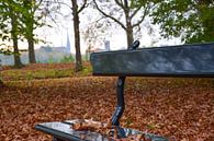 Bench in autumn Park de Plantage Culemborg by Ingrid de Vos - Boom thumbnail