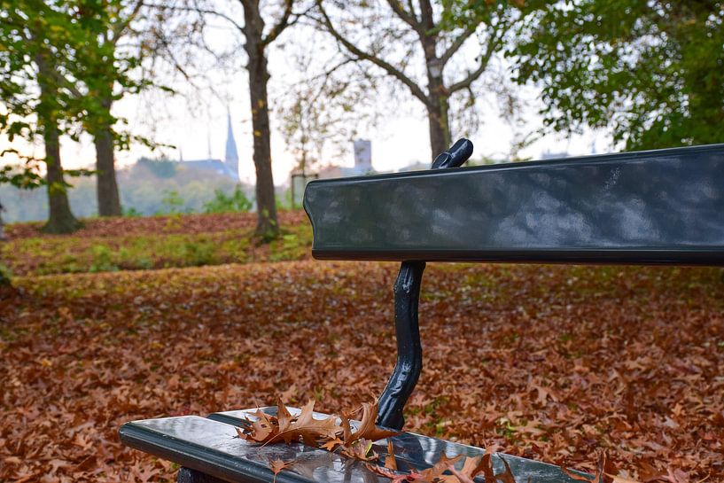 Bench in autumn Park de Plantage Culemborg by Ingrid de Vos - Boom