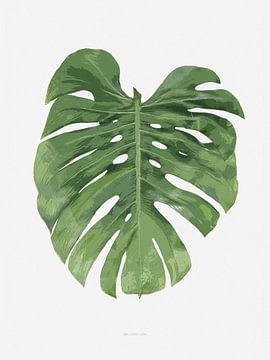 Botanical Monstera Leaf van Niels Eric Fotografie