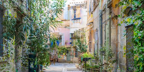 URBAN JUNGLE II