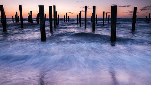 Palendorp op het strand in Petten