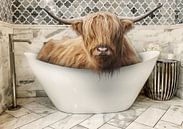 Schottischer Highlander in der Badewanne von Bert Hooijer Miniaturansicht